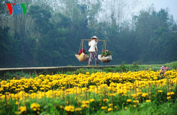 Phu Mau flower village  - Photo: internet